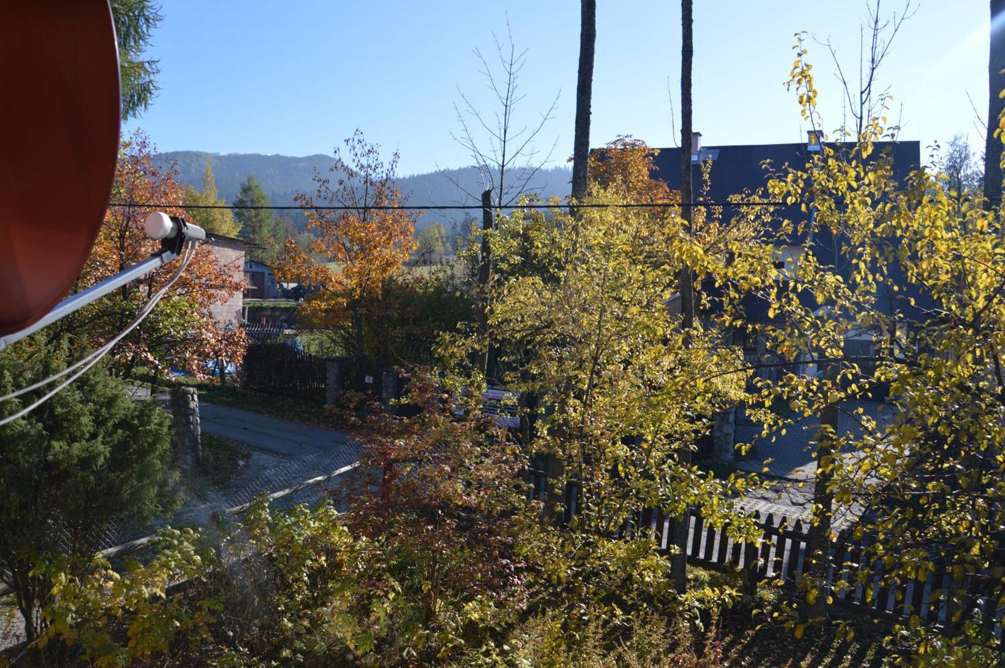 Msc Apartments Honeymoon Zakopane Room photo